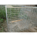 Zinc Plated Mouse Trap Cage Quality Live Animal Humane Trap Cage Catch Manufactory